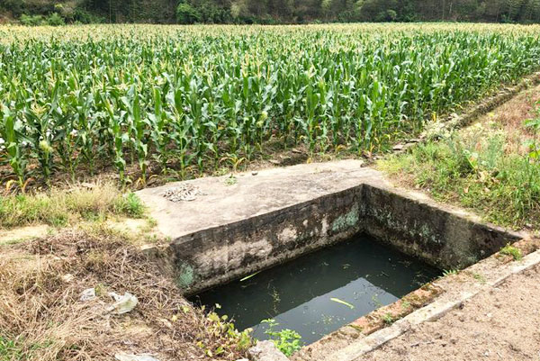 农村饮水净化设备解决农村生活饮水问题